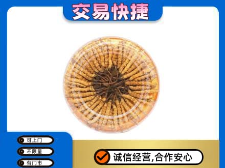 江门礼品回收虫草礼盒.jpg